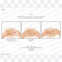 皮耳动物眼耳-空若网 皮耳动物眼耳-空若网