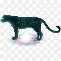 猫陆生动物野生动物美洲狮-猫-空若网 猫陆生动物野生动物美洲狮-猫-空若网