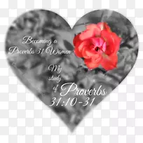 ��԰õ�廨�갮��õ��-������