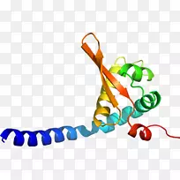 人体首饰有机体线剪贴画线-空若网 人体首饰有机体线剪贴画线-空若网