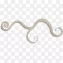 人体珠宝动物.棕色图案线-空若网 人体珠宝动物.棕色图案线-空若网