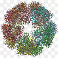 艺术树-空若网 艺术树-空若网