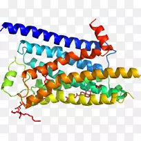 �����߶����������-������