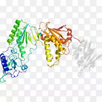 树线剪贴画-树-空若网 树线剪贴画-树-空若网