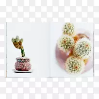 �޽Ӱ��°滨���ѧ������-��ѧ-������