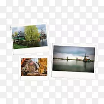 ��Ӱֽ��������Ӱ.�ɰ���Ұ��-������