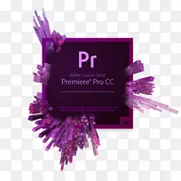 Adobe Firere pro adobe��������Ƶ�༭����adobeϵͳ-ŦԼְҵ������-������