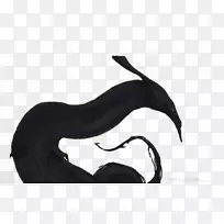 鳗鱼动画剪辑艺术-卡通鳗鱼-空若网 鳗鱼动画剪辑艺术-卡通鳗鱼-空若网