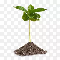 ������������Ӱ�����������ȿ����ȹ���-������