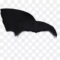 ëƤ��m������-������