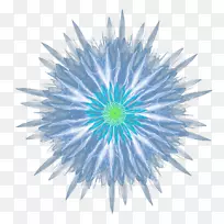 蓝光花-酷的蓝色花顶景-空若网 蓝光花-酷的蓝色花顶景-空若网