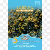 乔木生态系统-桃金娘-空若网 乔木生态系统-桃金娘-空若网