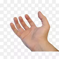 拇指手型指甲-空若网 拇指手型指甲-空若网