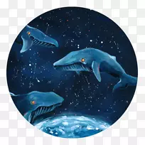 海豚海洋生物学-海豚-空若网 海豚海洋生物学-海豚-空若网