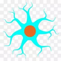 神经元神经系统细胞-整数系统-空若网 神经元神经系统细胞-整数系统-空若网