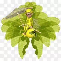 À¥³æÒ¶¹ûÀ¥³æ-¿ÕÈôÍø À¥³æÒ¶¹ûÀ¥³æ-¿ÕÈôÍø