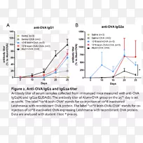 ֱ�ߵ����-������