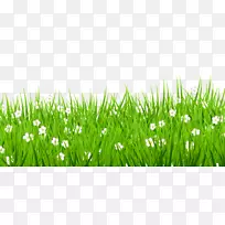 ²Ýƺ¼ôÌù».»¨¼ô͸Ã÷-¿ÕÈôÍø ²Ýƺ¼ôÌù».»¨¼ô͸Ã÷-¿ÕÈôÍø