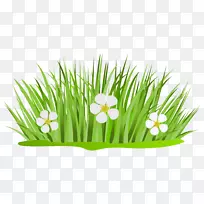 Ãâ·ÑÄÚÈݼôÌù»-»¨²Ý¼ôÌù»-¿ÕÈôÍø Ãâ·ÑÄÚÈݼôÌù»-»¨²Ý¼ôÌù»-¿ÕÈôÍø