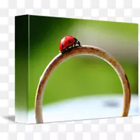 宏观摄影设计-空若网 宏观摄影设计-空若网