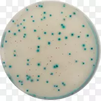 e。大肠杆菌生长培养基-空若网 e。大肠杆菌生长培养基-空若网