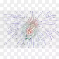 对称花瓣图案-烟花PNG-空若网 对称花瓣图案-烟花PNG-空若网