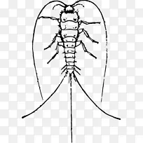 ���滭���������-����-������