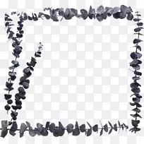 画框摄影花瓣剪贴画.桉树边缘-空若网 画框摄影花瓣剪贴画.桉树边缘-空若网