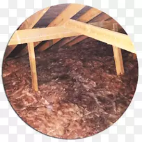 ľ������/m/083vt-�ݶ���Ե-������