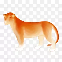 狮子大猫动物野生动物-火狮-空若网 狮子大猫动物野生动物-火狮-空若网