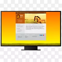 电脑显示器多媒体显示广告电视显示装置-金马-空若网 电脑显示器多媒体显示广告电视显示装置-金马-空若网