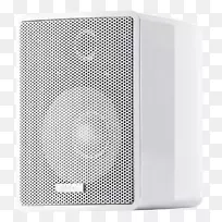 ��Ƶ��ý�����-������