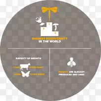 昆虫养殖业-昆虫-空若网 昆虫养殖业-昆虫-空若网