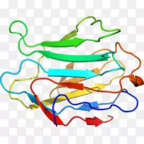 �ߵ������������-������