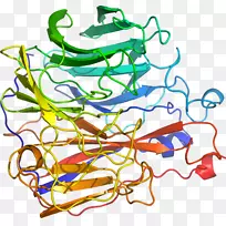 线点生物剪贴画线-空若网 线点生物剪贴画线-空若网