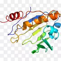 �ߵ������-��-������