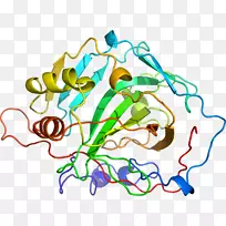 �ߵ������������-������