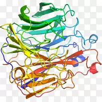 线点生物剪贴画线-空若网 线点生物剪贴画线-空若网