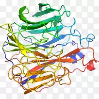 线点生物剪贴画线-空若网 线点生物剪贴画线-空若网