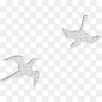 �����鱦-����-������