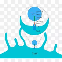 人类行为水剪贴画-水-空若网 人类行为水剪贴画-水-空若网