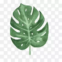 Ë®²Ê»ÉãÓ°.СҶ-¿ÕÈôÍø Ë®²Ê»ÉãÓ°.СҶ-¿ÕÈôÍø