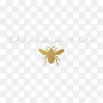 ���洫������������-����-������