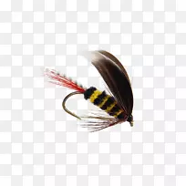 昆虫蜂蝇等甲冬青蝇-昆虫-空若网 昆虫蜂蝇等甲冬青蝇-昆虫-空若网