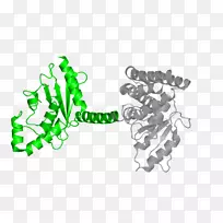 标志树绿色品牌树-空若网 标志树绿色品牌树-空若网