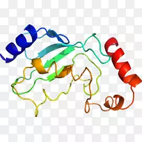 线点生物剪贴画线-空若网 线点生物剪贴画线-空若网