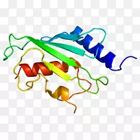 �߲��л���ϵ�м�����-�߲�-������