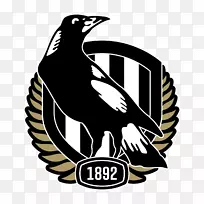 科林伍德足球俱乐部澳大利亚足球联赛墨尔本板球球场墨尔本足球俱乐部北蓝-空若网 科林伍德足球俱乐部澳大利亚足球联赛墨尔本板球球场墨尔本足球俱乐部北蓝-空若网