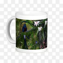 杯虫鸟花盆杯糖果碗-空若网 杯虫鸟花盆杯糖果碗-空若网