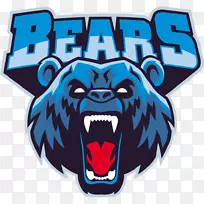 棕熊灰熊插图.手绘熊材料-空若网 棕熊灰熊插图.手绘熊材料-空若网